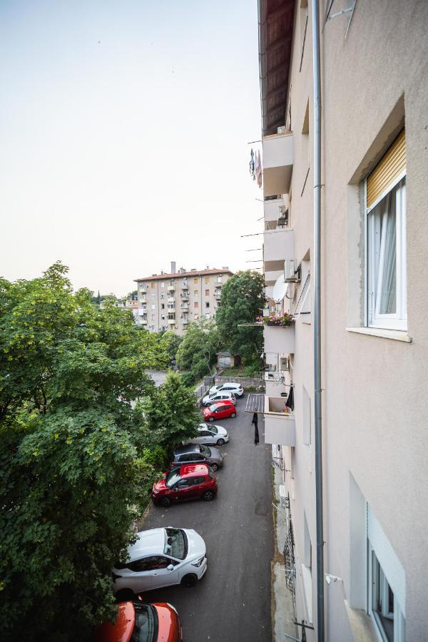 Brunea Apartman *